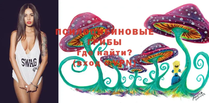 как найти   Дегтярск  Галлюциногенные грибы MAGIC MUSHROOMS 